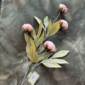 Set of 5 Michael’s by Ashland Tan Peony Stems